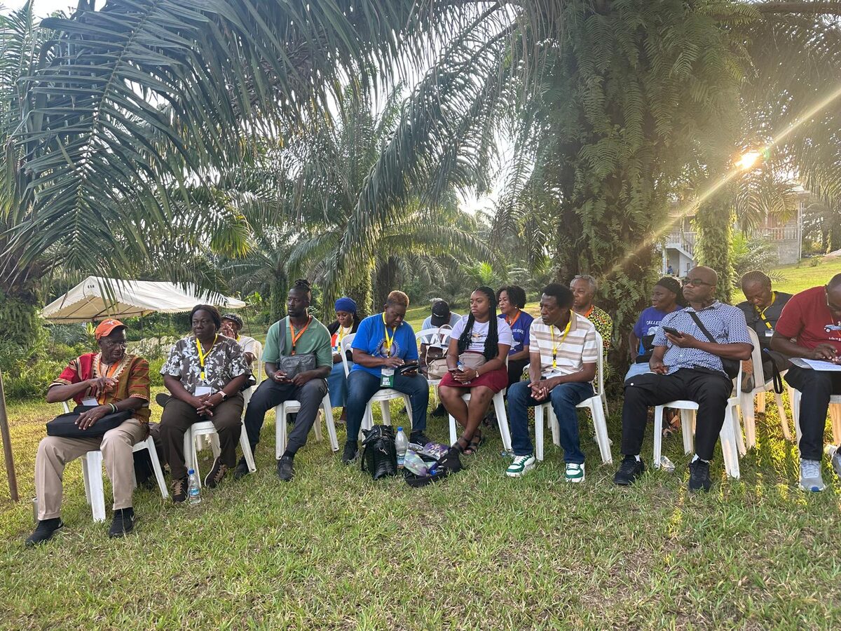 A gathering seated under palm trees